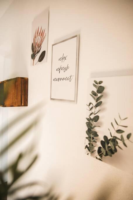 Appartement Modernes