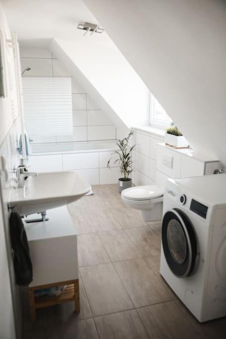 Appartement Modernes